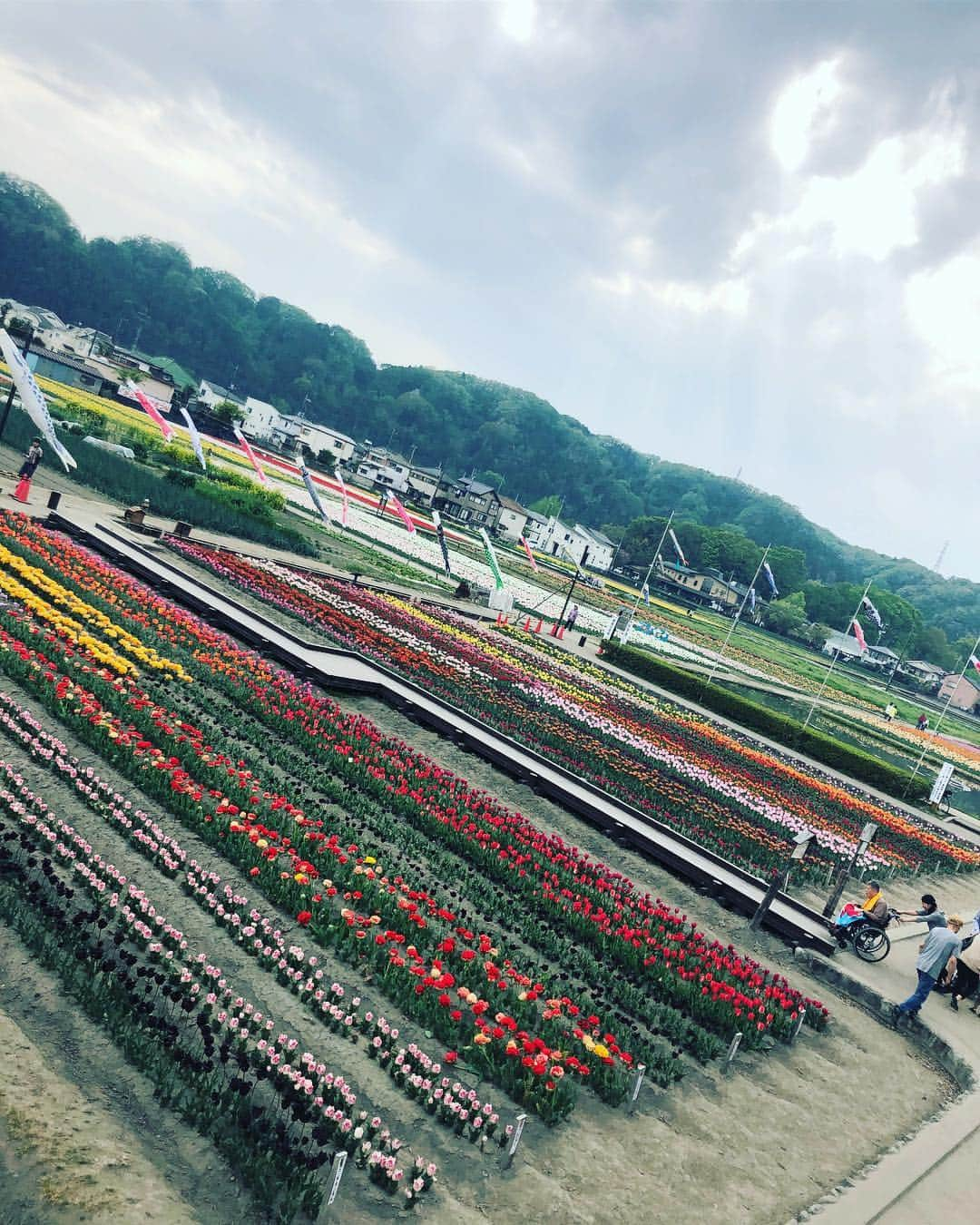 岡本聖子さんのインスタグラム写真 - (岡本聖子Instagram)「羽村市のチューリップ祭りに行ってきました！ 平日だったので、模擬店はいくつかある中の二店舗しか空いてませんでしたが、 @54_cafe_and_crepe でクレープとタピオカ入りサイダーをオーダー❣️美味しかった^ ^ 26日木曜日まで開催してるそうです。 明日4/24はキッズテニスの日！あと少しだけ枠があります！ご予約はお早めに!!!!! @itsukaichiclub  #第2第4水曜日 #14時15分から年少年中さん #15時15分から年長さん #KIDSTENNIS #キッズテニス」4月23日 13時23分 - seiko_okamoto_official