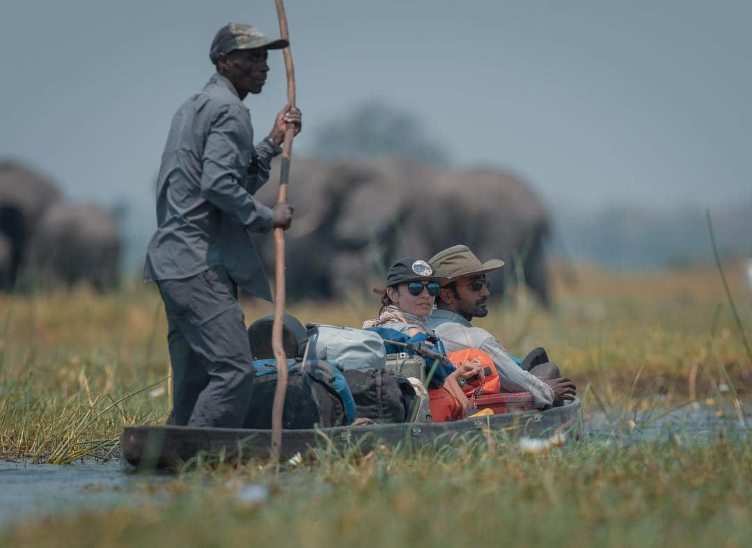 ミア・マエストロさんのインスタグラム写真 - (ミア・マエストロInstagram)「And lastly, on Earth Day I want to mention a project very dear to my ♥️ Into the Okavango a @natgeo documentary I got the honor to co produce by director @neilgelinas premiered this day last year at Tribeca, and now it’s available on numerous platforms across the globe. Of course, it depends on where you are, but it’s available in most regions for iTunes, Amazon, GooglePlay, Hulu, and the NatGeo TV app. Surprisingly, we’ve been getting an incredible response from in-flight movies as well. United, Emirates, Air France, etc 🙌🏻 The DVD can be purchased off Amazon or the #NatGeo online store.  For the latest on what the Okavango Wilderness Project has been up to, please check out @intotheokavango & intotheokavango.org Here are a few shots of some of the expeditions I got to join in the last few years 🦏🐘🐊」4月23日 13時40分 - miamaestro