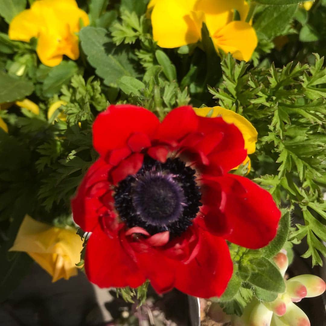 魔女菅原のグルメインスタ