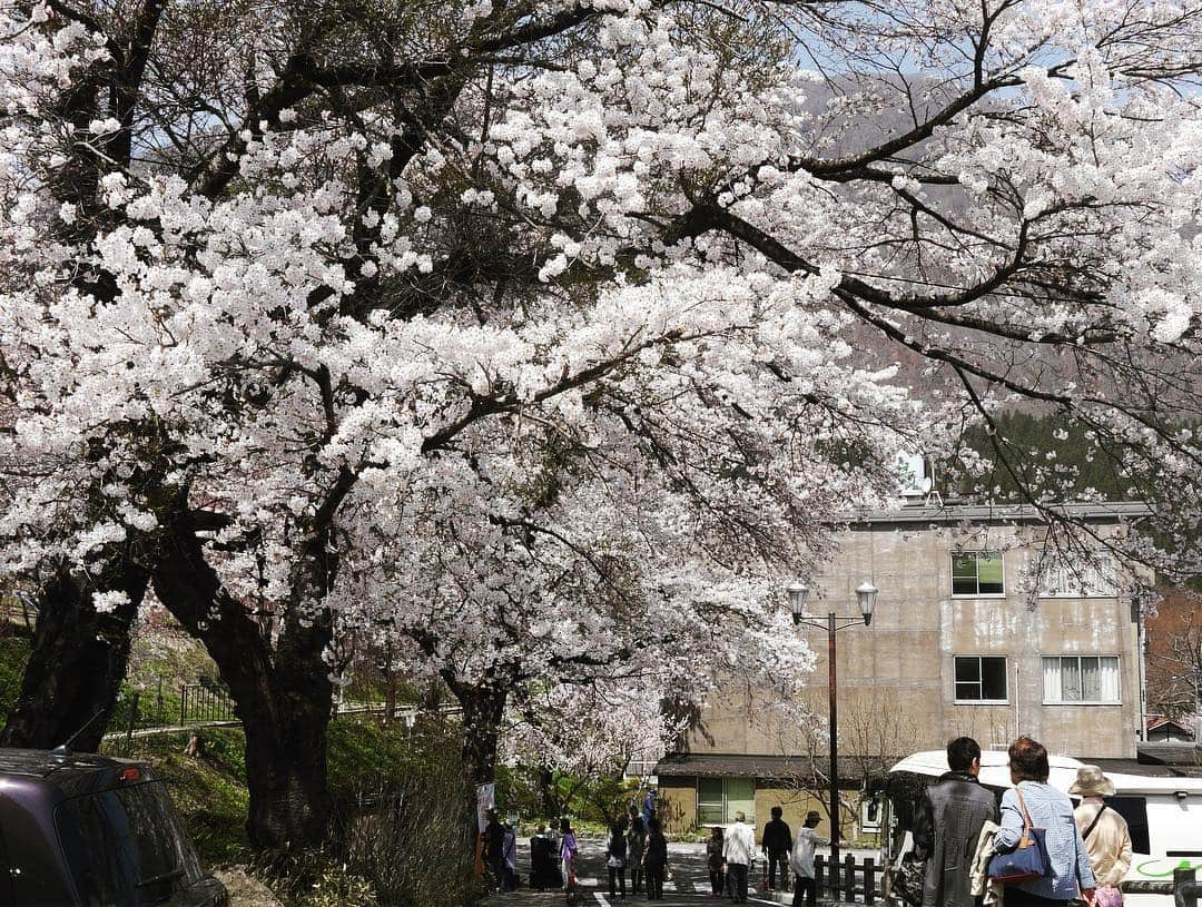 Rediscover Fukushimaさんのインスタグラム写真 - (Rediscover FukushimaInstagram)「Photos I just took at Yunokami Onsen Station 😊💕🌸」4月23日 14時10分 - rediscoverfukushima