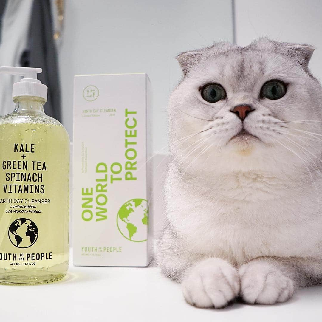 Hiroのインスタグラム：「I’m happy to announce that @greystoke_ is the lucky winner of our giveaway! Congrats!  GIVEAWAY *CLOSED*: @macchacat and I are celebrating Earth Day with our real-life family @youthtothepeople! We’re giving away a special set of skincare products which includes this epic special edition Supersize Earth Day Cleanser, along with 6 more vegan & cruelty-free skincare products AND our exclusive 2019 Animals Are Not Ingredients Calendar! You might recognize a few faces.😸 Two lucky people will get this package at their doorstep. Follow the steps below ~⁣ +++⁣ TO ENTER:⁣ 1. Make sure you're following both of us (@superhirocat & @macchacat) and @youthtothepeople 2. Like this photo⁣ 3. Comment below and tag a friend who NEEDS TO KNOW about this Earth Day celebration package. (Each comment counts as an entry).⁣ 4. Winners will be announced Friday, 4/26 at 4pm PST.⁣ Good luck, legends! 👊🏼👊🏼」