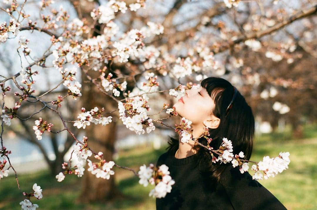 Macoto Tanaka 田中真琴さんのインスタグラム写真 - (Macoto Tanaka 田中真琴Instagram)「. 選挙開票されて、色々な地域の当選者見てたのですが公報を読めばわかるレベルで私から見たら人の事を傷付けるような酷いこと掲げている人とかも当選してたりしてて、勿論色々な思想、信念が存在する事も理解してますが、投票に行かなかった沢山の人達はそれについてどう思うの。どうでもいいのかな。これを見てドキッとした人は次の選挙は行こうね！そうやってドキッって感じる心を大切にしよう。 #選挙」4月23日 15時13分 - mac0tter