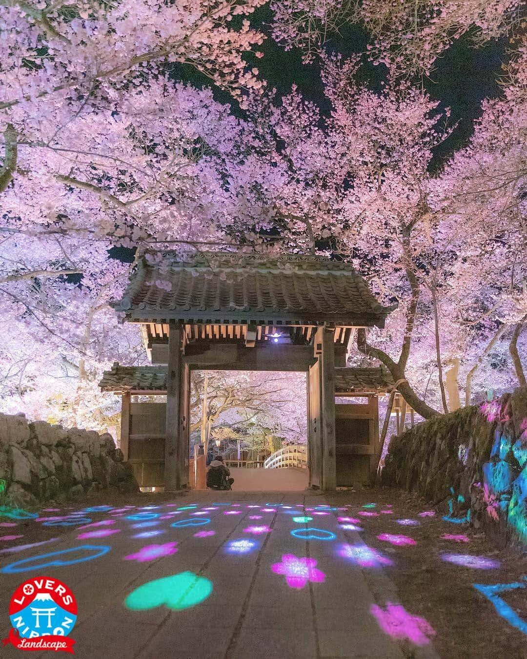 Only Japanese photographsさんのインスタグラム写真 - (Only Japanese photographsInstagram)「🇯🇵Today's best photo of Japan🇯🇵 Featured Artist : 🏆 @gottyan15 🏆 Featured tag : #Lovers_Nippon Location :  長野県 (Nagano , Japan) Photo selected : @criss1016 ￣￣￣￣￣￣￣￣￣￣￣￣￣￣￣￣￣￣￣￣ New challenge #花びら大回転2019 （〜5/8 21:59まで） ・ 『お願い』  都道府県のみでも結構ですので必ず国内の撮影場所を明記ください。 風景【 #Lovers_Nippon 】 ポートレート【 #Lovers_Nippon_Portrait 】 アート【 #Lovers_Nippon_Artistic 】 ￣￣￣￣￣￣￣￣￣￣￣￣￣￣￣￣￣￣￣￣」4月23日 15時24分 - lovers_nippon