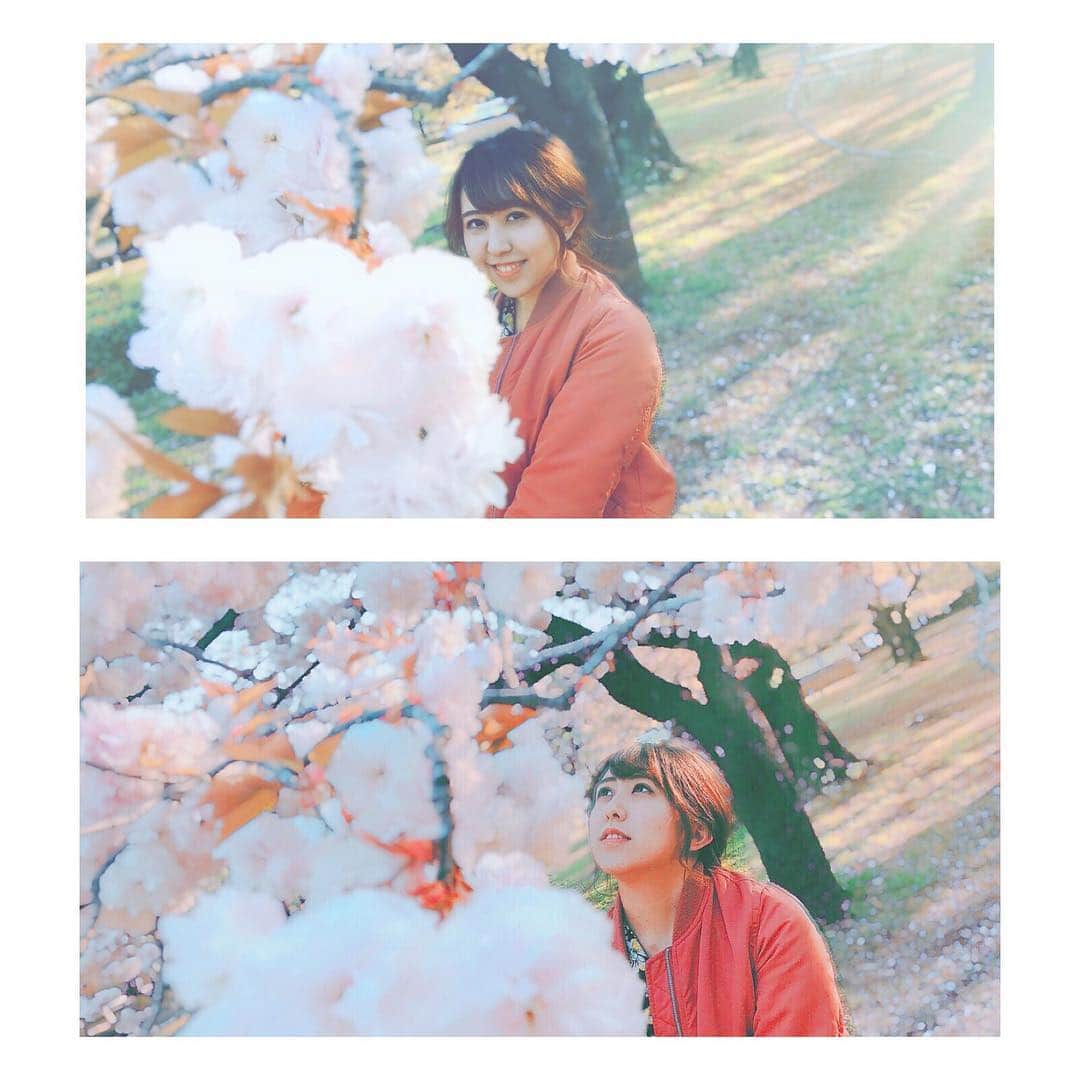 井上麗夢のインスタグラム：「🌸 . . 桜の季節も終わってもう 緑の時期になりましたねえ🌿 . . 少し歩くとかるく 汗がでてくる季節になりました！ . . . #桜 #夏 #日本の四季」