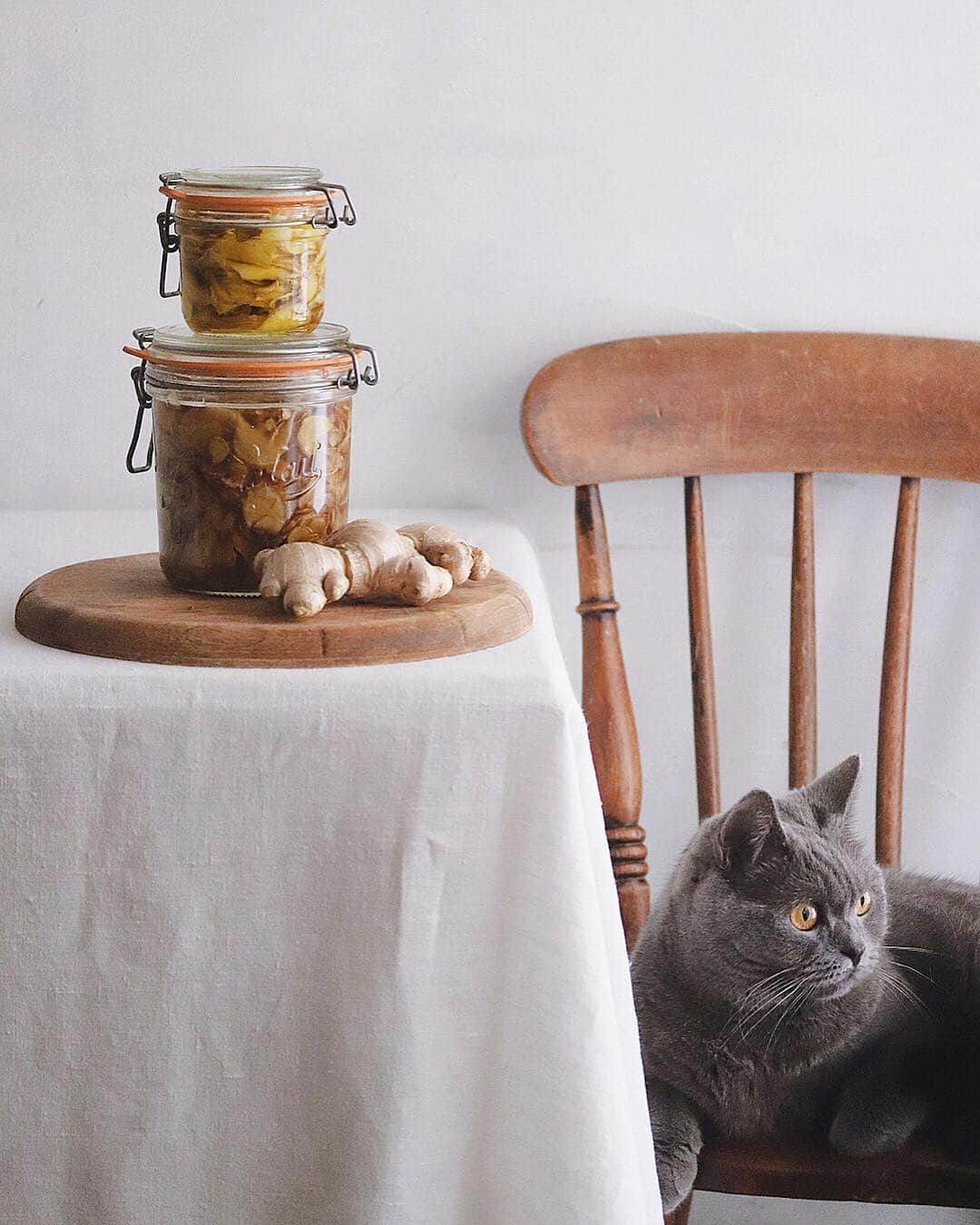 樋口正樹さんのインスタグラム写真 - (樋口正樹Instagram)「Ginger syrup . 大きな瓶は 胡椒と鷹の爪を加え 辛口の生姜シロップ。 ジンジャーエール用。 . 小さい瓶は、 干し生姜のオイルで 井澤先生の新刊より。 免疫力や代謝アップ、 様々な健康効果あり。 お料理に普通に活用。 👉@yumiko_izawa . ボナさんゴロゴロと、 生姜に興味ない様子。 . . #生姜シロップ #ジンジャーシロップ #干し生姜オイル #ginger #gingersyrup #gingeroil #leparfait #ルパルフェ #leparfait_jp」4月23日 15時53分 - higuccini