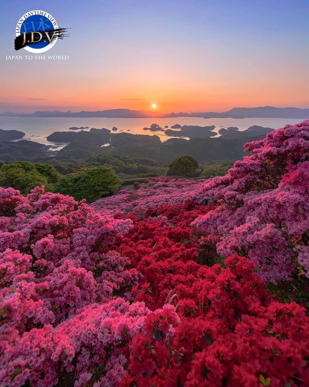 japan_daytime_viewのインスタグラム