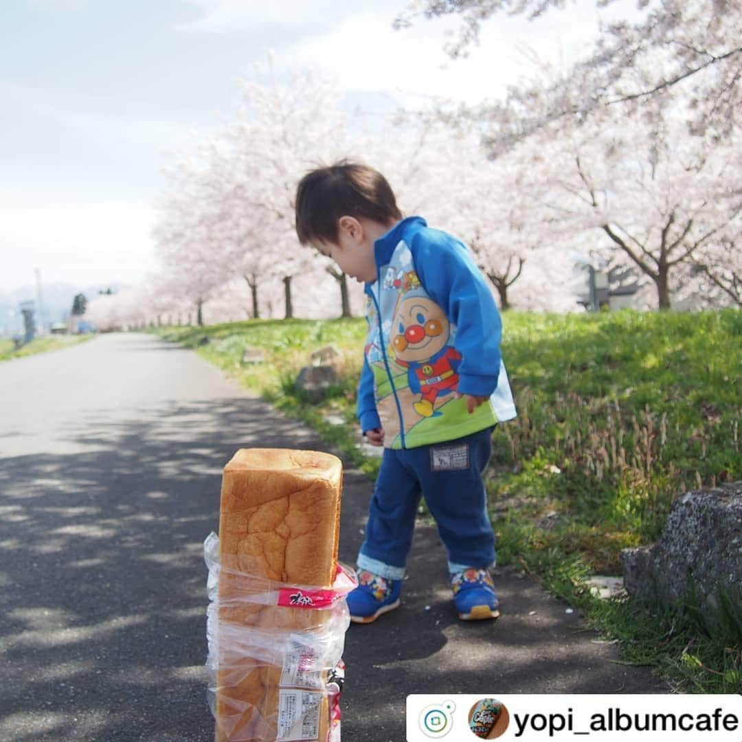 フジパン本仕込【公式】のインスタグラム