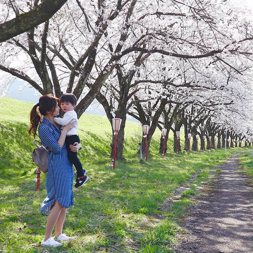 chika__23さんのインスタグラム写真 - (chika__23Instagram)「＊ 今年もまたここで記念撮影🌸 ＊ #桜#桜道#桜ロード」4月23日 16時59分 - chika__025