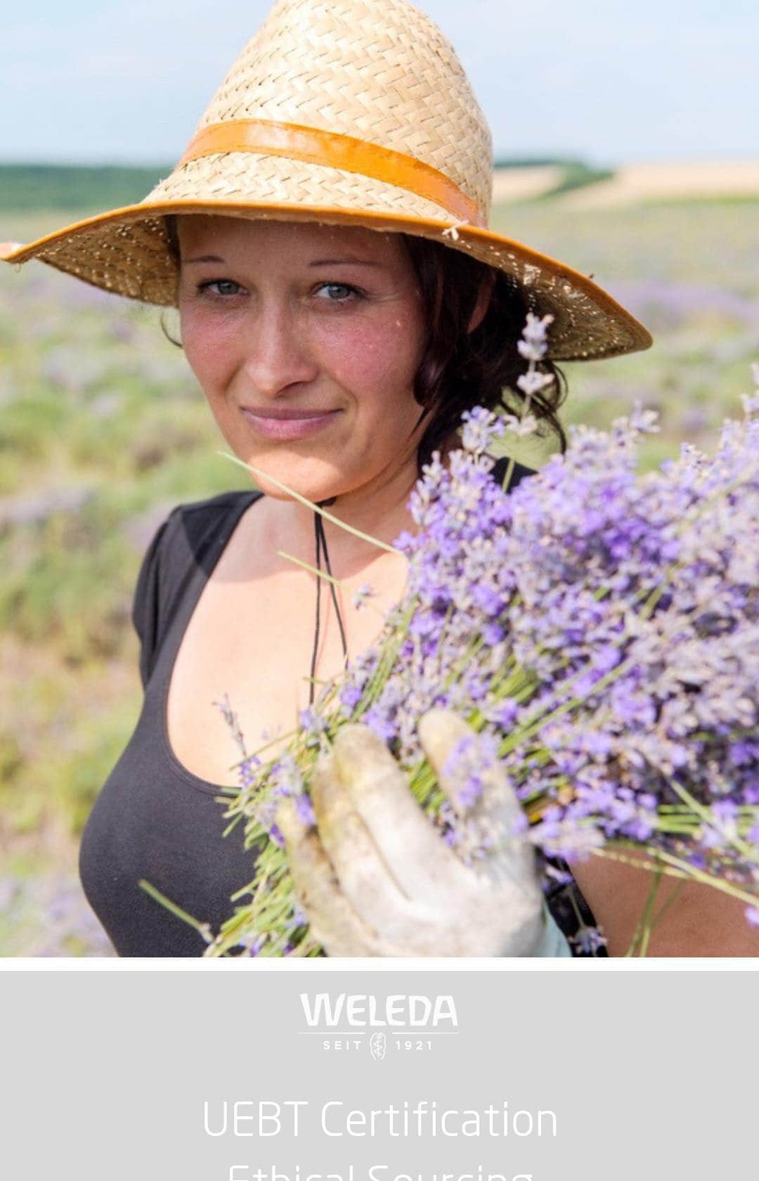 Weledaのインスタグラム：「Weleda is proud to have received the first-ever UEBT certification for Sourcing with Respect!  At Weleda, we use many different raw materials and we’re aware that how we source and extract them has a significant impact on biodiversity. We bear responsibility for the people who grow, harvest and process our ingredients. Only by working together can we guarantee that these habitats are not exploited but used and protected sustainably. #UEBT #Earthweek」