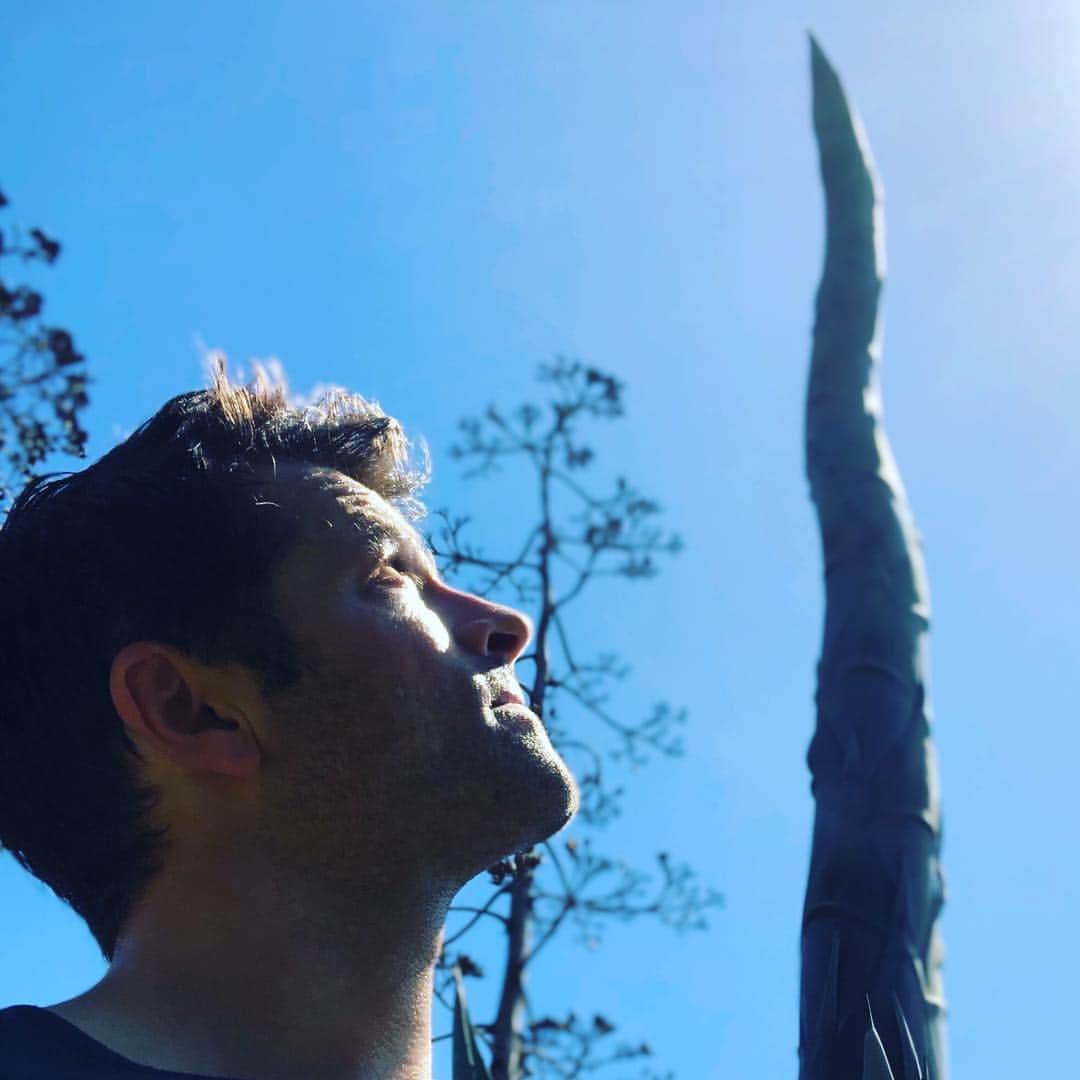 ミーシャ・コリンズさんのインスタグラム写真 - (ミーシャ・コリンズInstagram)「I ran across the world’s largest stalk of asparagus in an LA park today.」4月24日 2時54分 - misha