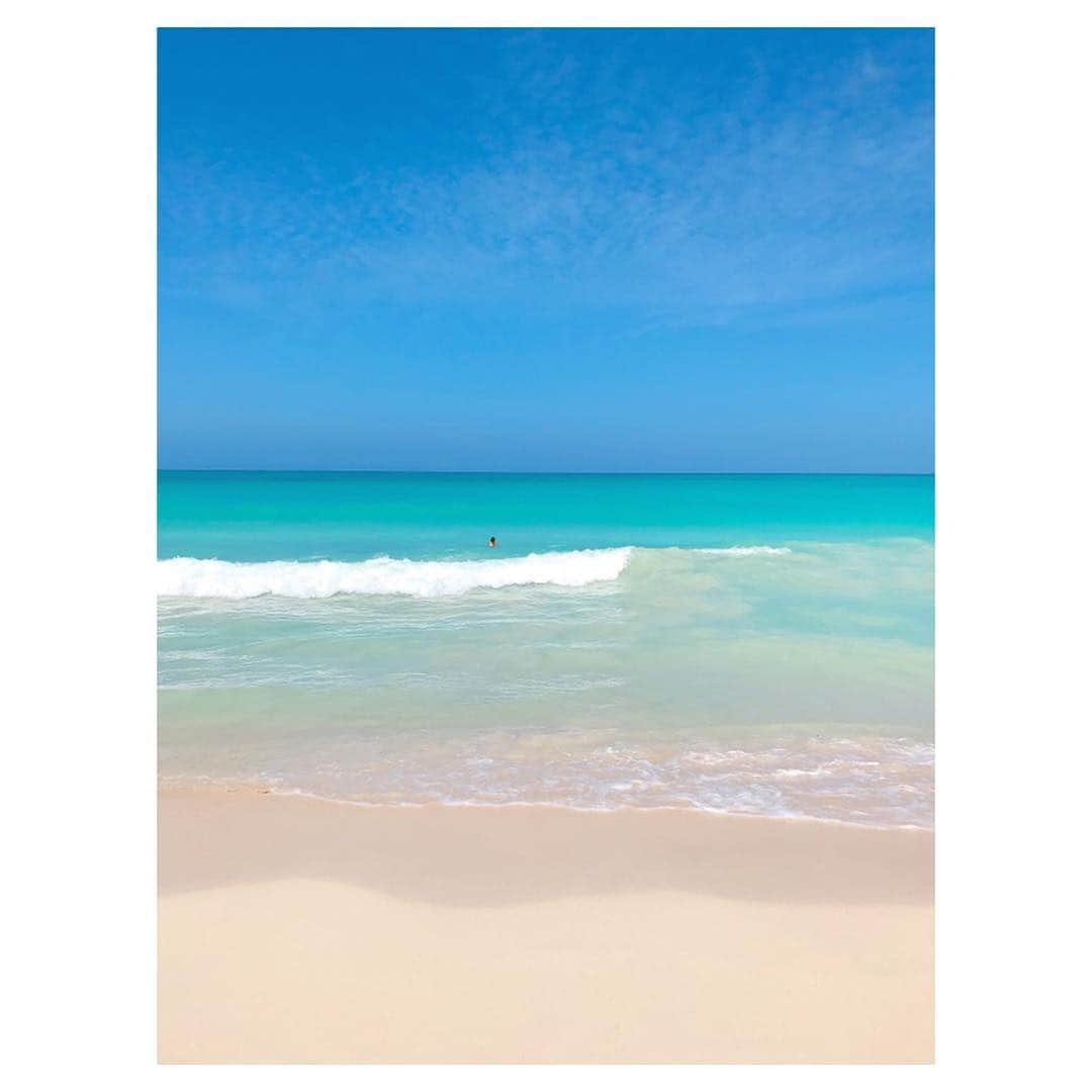 荒川れん子さんのインスタグラム写真 - (荒川れん子Instagram)「Wish I was here now💙 浸かりたい。海、入ってないなー。ハワイ生活、こんなもんです😅 . . #hawaii #waimanalo #aloha #lovehawaii #luckywelivehawaii #blue #hawaiilife #beach #goodmorning #travel #trip #lifeisajourney #paradise #hawaiistagram #instahawaii #ハワイ #オアフ #ハワイライフ #ハワイ生活 #ハワイ在住 #旅 #ハワイ好き #ハワイ旅行 #カコソラ #カコウミ #海 #ビーチ #おはよう #南国 #島暮らし」4月24日 2時56分 - renren_hawaii
