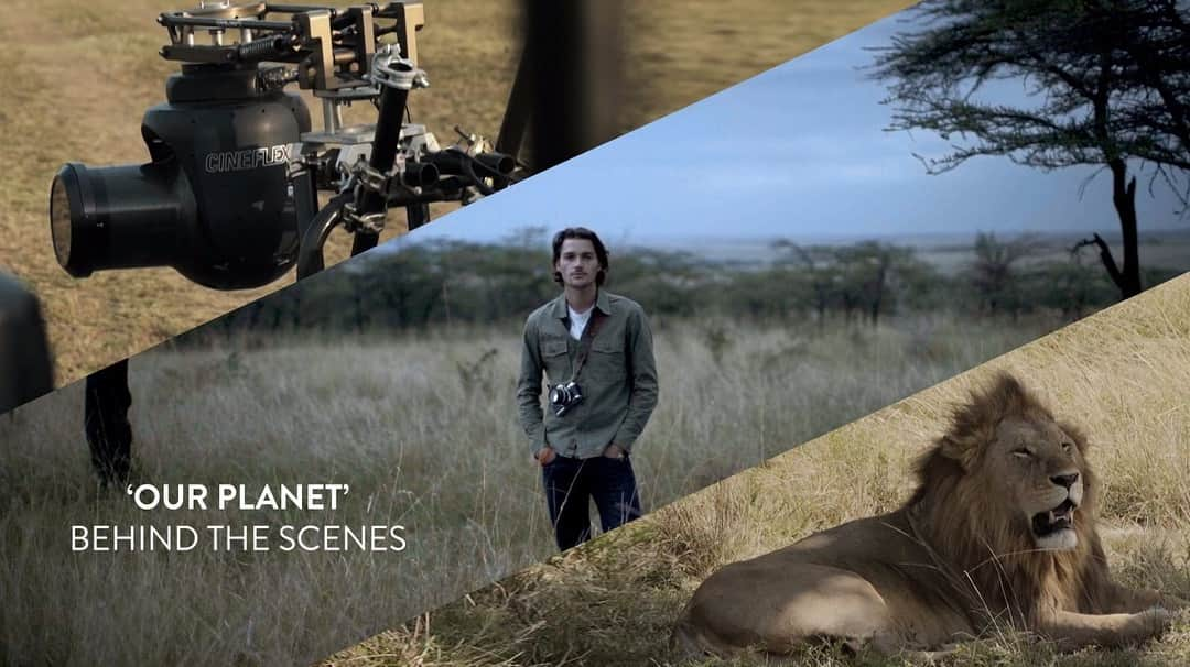 Jackson Harriesさんのインスタグラム写真 - (Jackson HarriesInstagram)「New film on my YouTube channel! I had the chance to go behind the scenes on @netflix and @wwf_uk’s stunning new show @ourplanet. In this short documentary, I travel to Kenya to meet the crew behind the camera and explore the issues facing grasslands all around the world. Link in bio!!」4月24日 3時37分 - jackharries