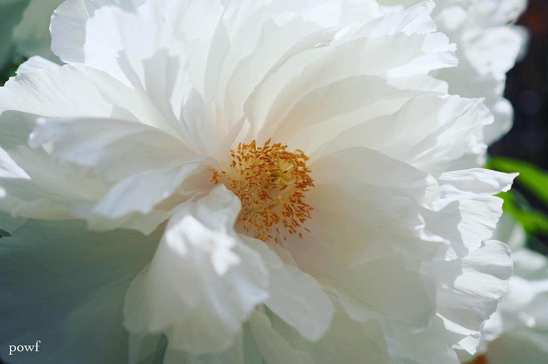 anemone_69のインスタグラム
