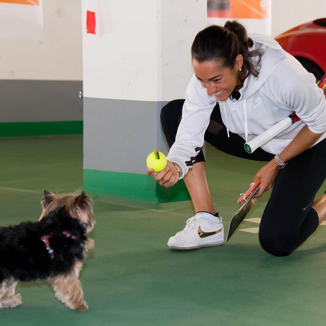 WTA（女子テニス協会）さんのインスタグラム写真 - (WTA（女子テニス協会）Instagram)「Caption this 👇😄🎾🐶 @carogarcia」4月23日 19時19分 - wta