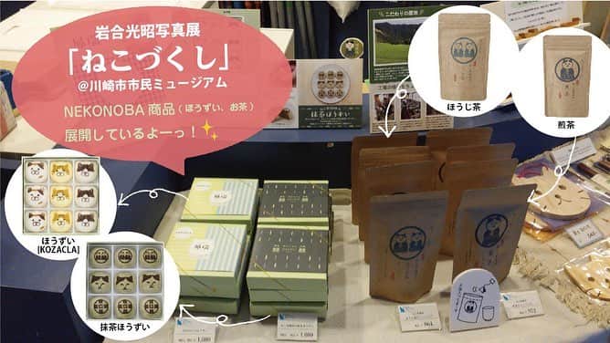 ねこさんのインスタグラム写真 - (ねこInstagram)「ジャーーーンッ😍🤘🏻❤️神奈川県にある、【川崎市市民ミュージアム】さんで、本日4月23日(金)から6月30日(日)までの間、「岩合光昭写真展 ねこづくし」が開催されております(´∀｀=)🌈🎵 その中で、我らNEKONOBAの商品一部、展開させて頂いております🦁‼️🗯 展開商品は写真の4商品🙋🏻‍♀️ ・ほうずい［KOZACLA］ ・ねこ茶商印の抹茶ほうずい ・ねこ茶商印の煎茶ティーバッグ ・ねこ茶商印のほうじ茶ティーバッグ です❣️🕺🏻✨ こちらの企画展では、岩合さんの写真展示のほか、トークショーやサイン会も開催されるみたいだよ😳❣️❣️ワーォ❣️ 気になる方は、【川崎市市民ミュージアム】で検索してチェックしてみてくださいっ🙌🌈 #neko_magazine #ねこ #猫 #ネコ #catstagram #cat #ねこマガジン #NEKONOBA #川崎 #川崎市市民ミュージアム #川崎市 #ねこづくし #岩合光昭」4月23日 19時25分 - neko_magazine