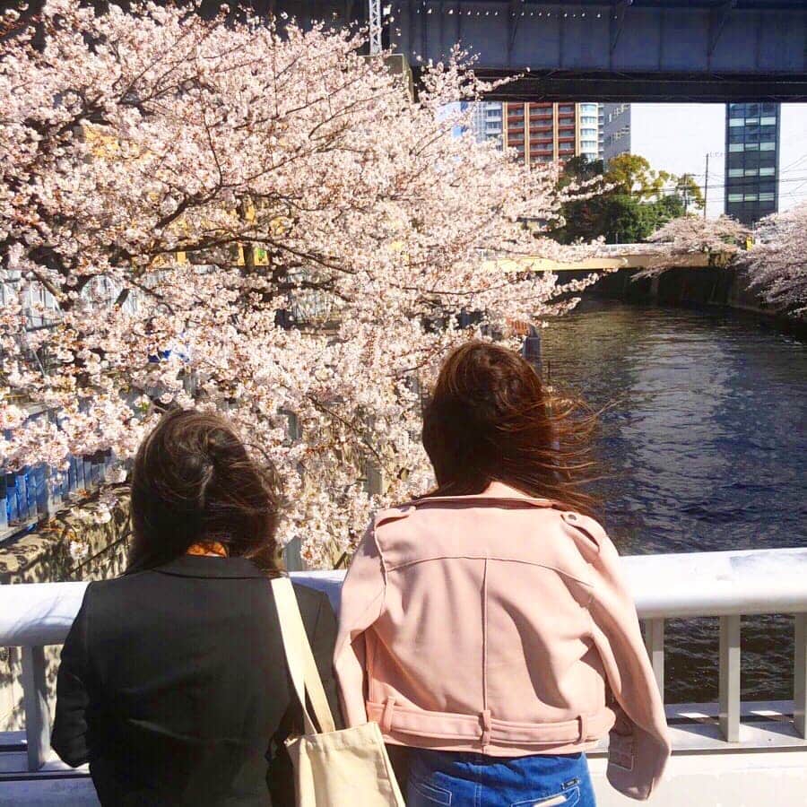 いいオフィスさんのインスタグラム写真 - (いいオフィスInstagram)「【桜も散って、新緑の季節がやってきました！】 春の象徴とも言える桜も、関東ではほどんど散ってしまいましたね。。 写真は五反田チームの目黒川でのお花見の時のものです。 でも葉桜も綺麗ですし、街に緑が溢れていて気持ちいいですね！ 皆さんも、夜風にあたりながらの散歩はいかがですか？ #コワーキングスペース #シェアオフィス #いいオフィス #いいオフィス五反田 #五反田 #桜 #葉桜 #夜桜 #目黒川 #品川区 #夜風 #夜のピクニック」4月23日 19時30分 - e_office_ueno