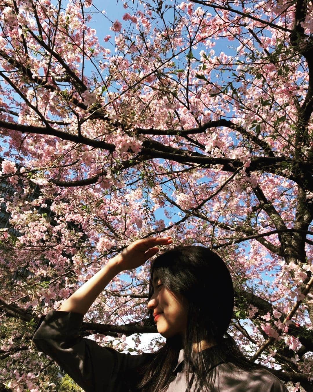 篠原理沙さんのインスタグラム写真 - (篠原理沙Instagram)「凛と立つ木のようになりたい。 きれいな桜を咲かせる、立派な木に。 花が枯れてもまた青々とした緑を纏い、強い風にも靡かず、寒い冬にも動じない芯の強い木に。 #phot#photooftheday#photography#photographer#travelphotography #子さり執筆事務所 #篠原写真展」4月23日 19時30分 - shinorisachan