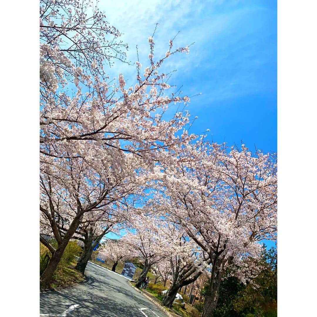 ゆん（並木優奈）さんのインスタグラム写真 - (ゆん（並木優奈）Instagram)「. . お花見してきた🌸💕 . . . . . . #🌸」4月23日 19時31分 - yunaaaaa.x