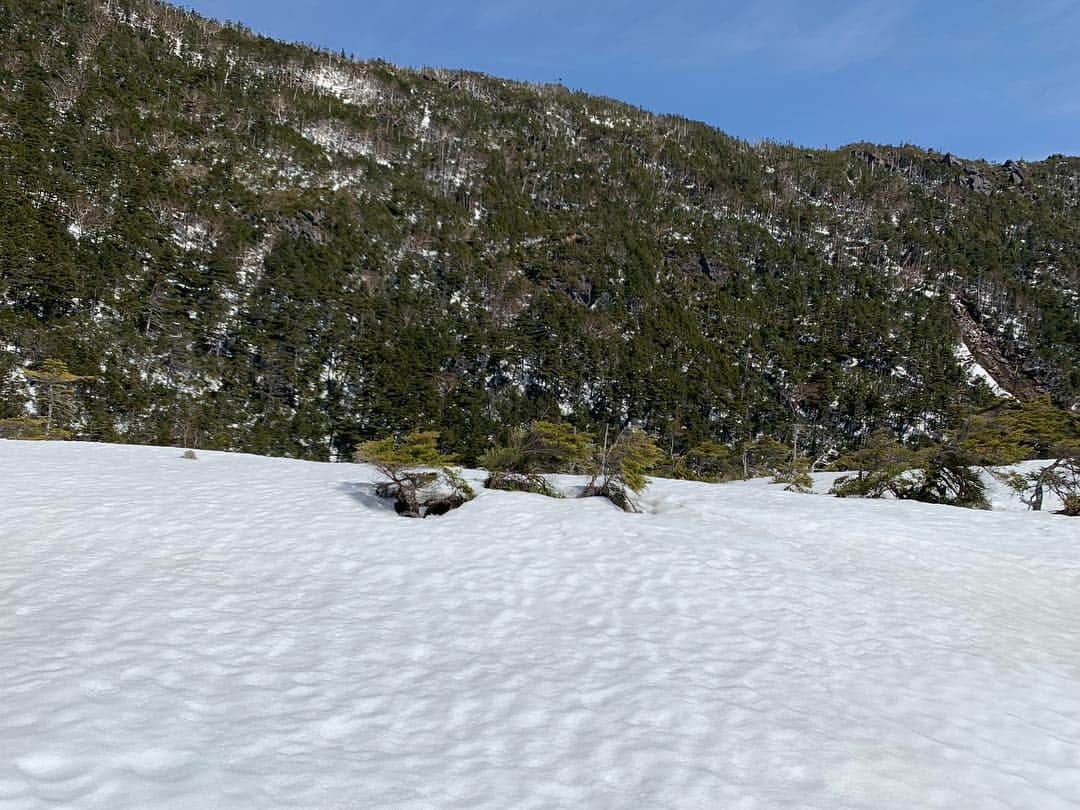 中村優さんのインスタグラム写真 - (中村優Instagram)「@orangebackpackers で北横岳へ🏔ゲイター持ってきてたのに車におき忘れて、シューズにすごい雪入ったけど… 美しい雪景色は天国みたいで感動😇風があんまりなくってすごい暑かった！！ 個人的登山シーズン幕開けにはちょうど良い山行でした🙆‍♀️」4月23日 19時31分 - nkmr_yu