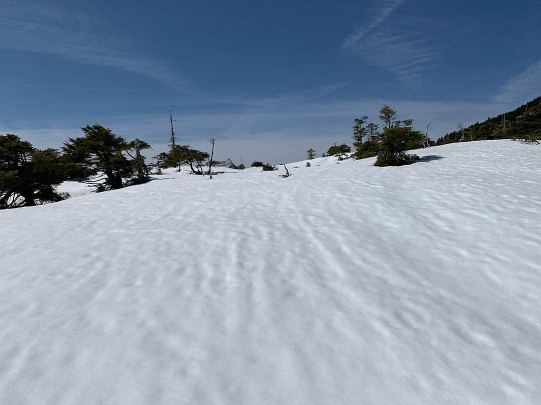 中村優さんのインスタグラム写真 - (中村優Instagram)「@orangebackpackers で北横岳へ🏔ゲイター持ってきてたのに車におき忘れて、シューズにすごい雪入ったけど… 美しい雪景色は天国みたいで感動😇風があんまりなくってすごい暑かった！！ 個人的登山シーズン幕開けにはちょうど良い山行でした🙆‍♀️」4月23日 19時31分 - nkmr_yu