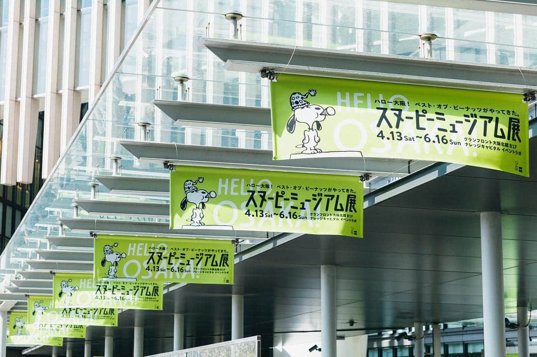 SNOOPY MUSEUM TOKYOのインスタグラム：「#スヌーピーミュージアム展  #thebestofpeanuts #snoopymuseumtokyo #schulzmuseum #snoopy #スヌーピーミュージアム #スヌーピー」