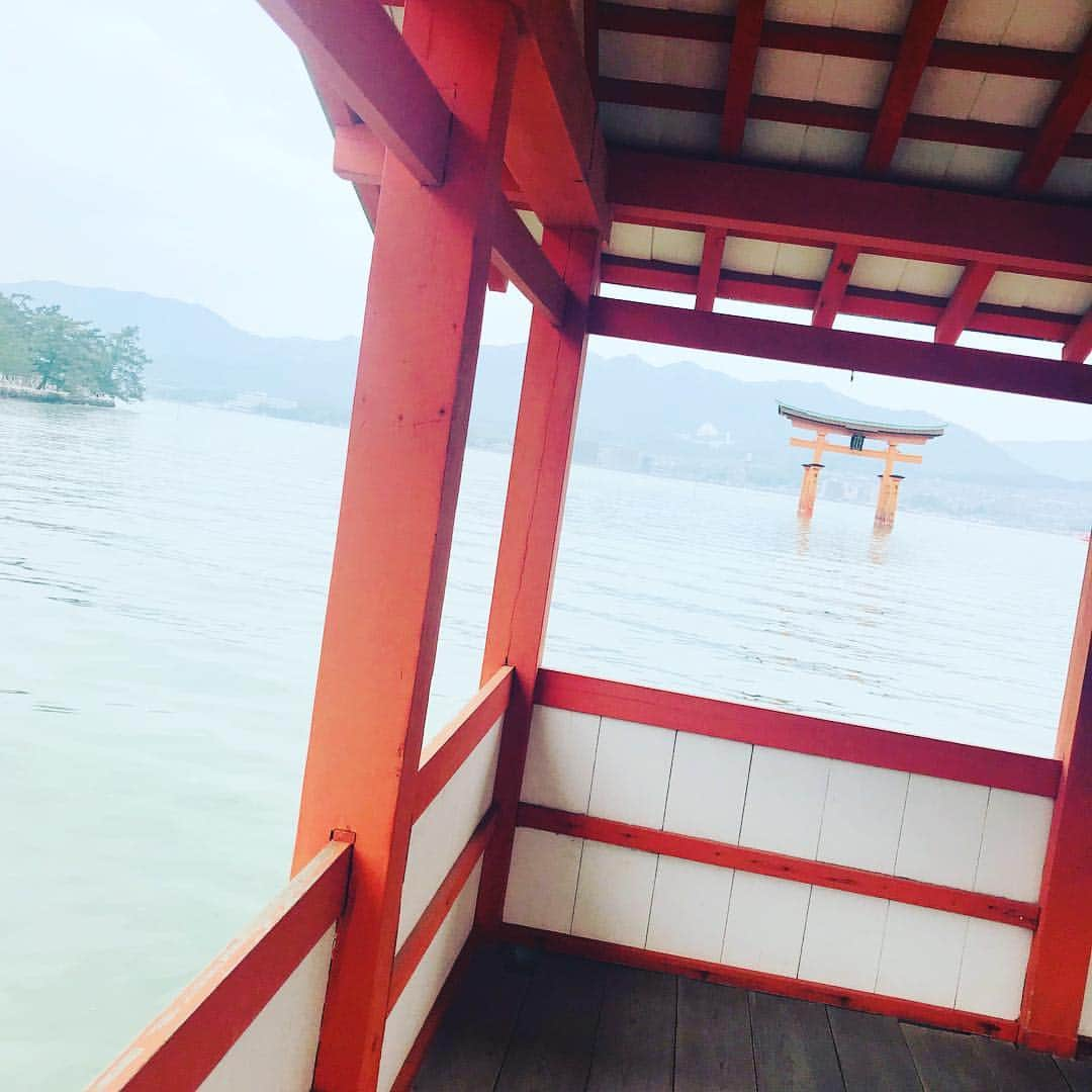 緒月遠麻さんのインスタグラム写真 - (緒月遠麻Instagram)「☺︎ 稽古休みに シュパーッと広島へ🍁⛩ ずーっと行けてなかった お墓参り 行けて良かった👵✨ ✨ 広島は #カープ 一色⚾️ 便乗して #カープソックス  買ってみた☺️🧦 かわゆい。」4月23日 19時59分 - toma_ozuki