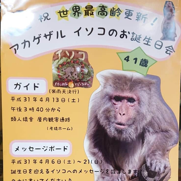 荒木悠司さんのインスタグラム写真 - (荒木悠司Instagram)「★ kyoto city zoo 4月21日(日) 京都市動物園に行って参りました。 . 日本で2番目に古い動物園で 1903年に開園され、 平成27年にグランドオープン！ . より近くで動物を見て感じることができ、 大人も小さなお子様も心から楽しめるとても素晴らしい動物園です。 . 第31代 園長 片山博昭さんに きめ細かくご丁寧に園内をご案内して下さり感謝申し上げます。 . ゾウさんをもっとゆっくり見たいのでまたお邪魔させていただきたいと思います。」4月23日 20時08分 - yuji_prince_araki