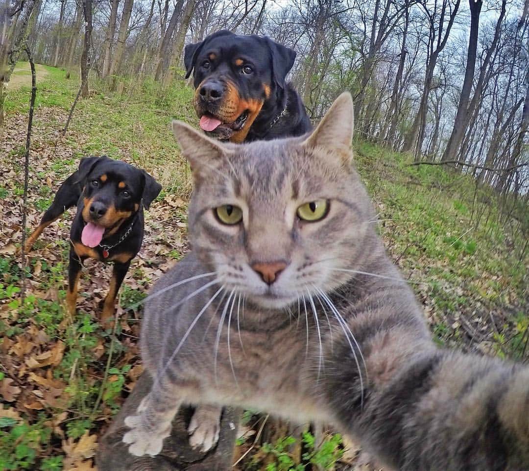 マニーのインスタグラム：「😸🤳 #GoPro」
