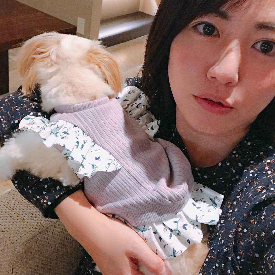 磯山さやかさんのインスタグラム写真 - (磯山さやかInstagram)「愛犬の洋服を @handmade_anmiiy  さんにオーダー♡ めちゃくちゃ可愛い！！ 偶然、自分のワンピの柄と小花柄がリンクしていて幸せ♡  もう一つのワンピも超絶可愛いので また今度紹介しますね！  #handmadeanmiiy  #チワプー」4月23日 20時31分 - sayakaisoyama