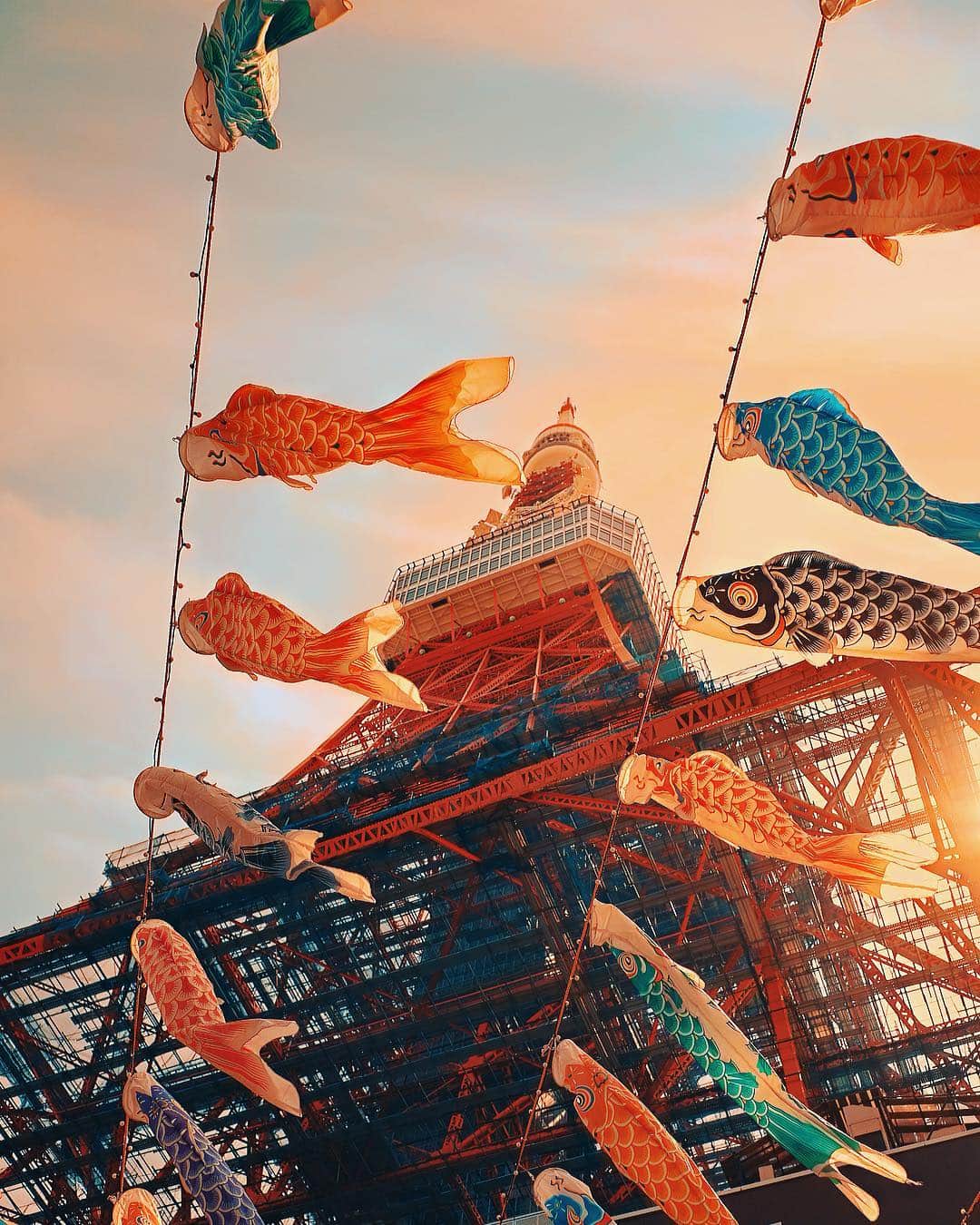 wacameraのインスタグラム：「"Kodomo no hi" is a Japanese holiday to celebrate children's growth.  That is May 5th. "Koinobori" is adorned every year for May 5th. This year emperor has relegated and the next emperor is to be crowned, and Japan has had 10 consecutive holidays since April 27.  The current era is Heisei, and the new era is Reiwa. スカイツリーより東京タワー派です( ●´◡`● ) 東京タワーと鯉のぼり、Instagramが始まった頃にこれを撮って以来、8年ぶりくらいに行ってきました。平日は人もいなくて撮り放題だった！GRIIIで撮影。」