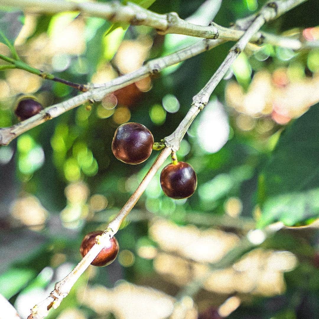 山口淳一のグルメインスタ