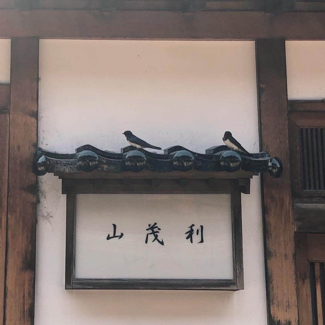 Alysa Ichikiさんのインスタグラム写真 - (Alysa IchikiInstagram)「初めての金沢旅行👘 楽しいも美味しいもオシャレも落ち着くも 全部の気持ちが詰まっていた🤲🏻 ブログにまとめるのが楽しみだな〜✍🏻 . #金沢 #金沢旅行 #金沢トリップ #金沢ごはん #金沢カフェ #金沢散策 #鈴木大拙館 #東茶屋街 #ひらみパン #バターレバーバインミー #Horita205」4月23日 20時57分 - alysa_i