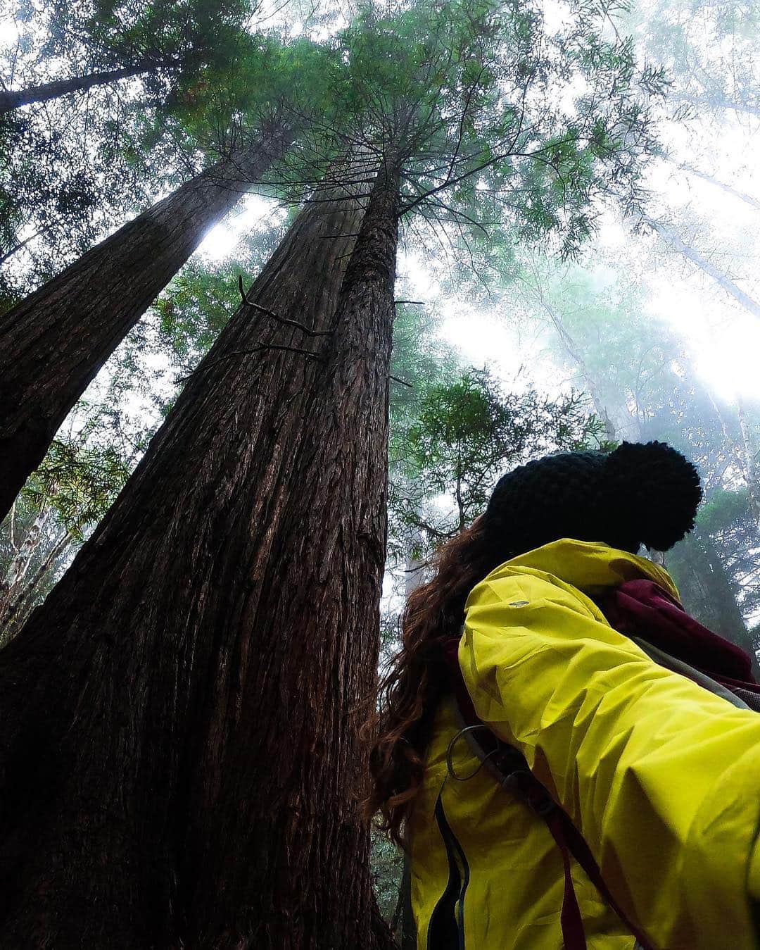 goproさんのインスタグラム写真 - (goproInstagram)「Photo of the Day: Taking #TravelTuesday to the trees with @adventureinpearls + California's Redwoods. • ProTip from the Park Rangers: Preserve the past + leave no trace. Take only pictures, leave only footprints. • • • #NationalParkWeek #GoPro #TripOn #GoProTravel #Redwood」4月23日 21時01分 - gopro