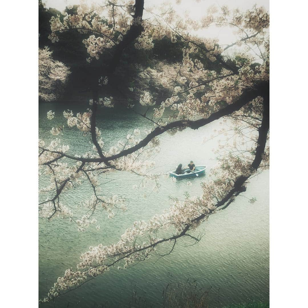 kazhixさんのインスタグラム写真 - (kazhixInstagram)「. . In the dream 〜under the Sakura〜 . . . iPhone7 . . . #ShotoniPhone #instagram #igersjp #mwjp #hueart_life #reco_ig #indies_gram #team_jp_  #team_jp_東 #ファインダー越しの私の世界 #デジタルでフィルムを再現したい #東京カメラ部 #lovers_nippon  #jj_forum_3095」4月23日 21時20分 - kazhix