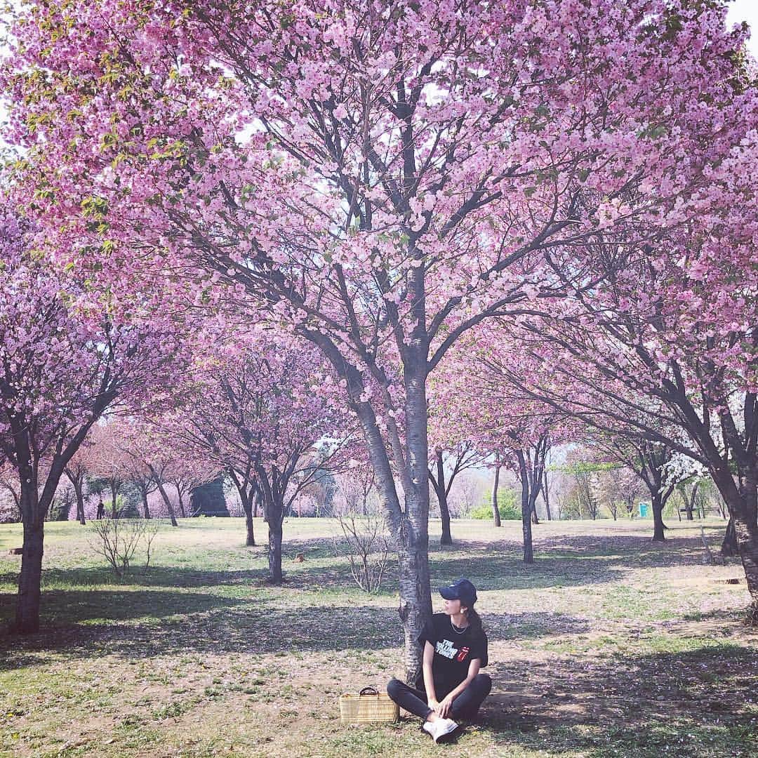 marikoさんのインスタグラム写真 - (marikoInstagram)「picnic  昨日はジムに行く予定を あまりの天気の良さに 急遽プチピクニックに変更。 お団子やお茶をお供に 行き当たりばったりの風に 身を任せたら…いつもとは 違う景色が広がってた。」4月23日 21時26分 - mariiko_re