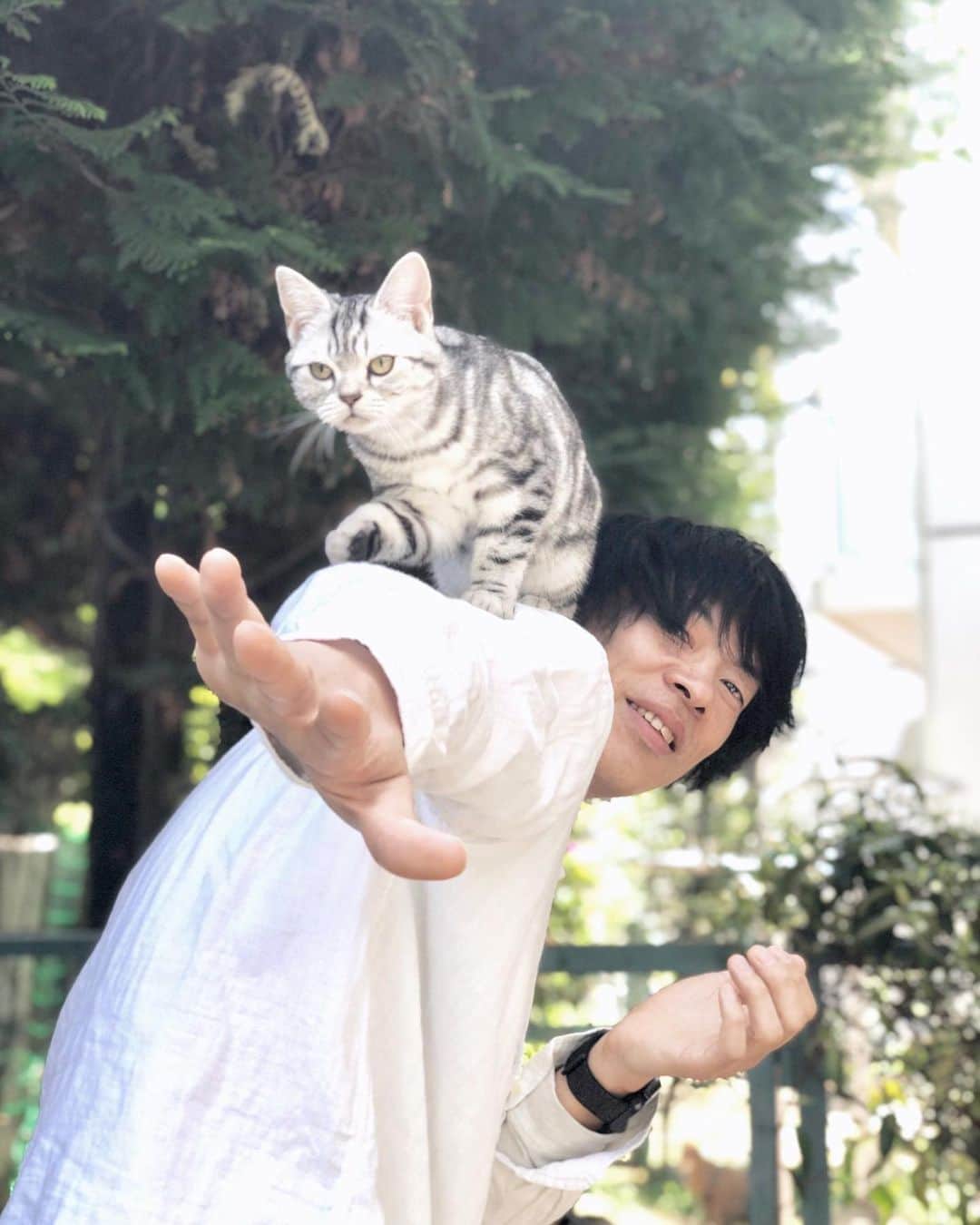 山田稔明さんのインスタグラム写真 - (山田稔明Instagram)「今日はお隣のセヌちゃん猫町お披露目会。ちっちゃくて軽くて柔らかくて人馴れしててかわいかった…。ノアちゃんもリルくんもチミ猫も大騒ぎでした。テイラー持ち（テイラー・スウィフトが猫を片手で抱くときのスタイル）、肩乗り猫、めろめろのおれ。 #お隣のセヌちゃん」4月23日 21時36分 - toshiakiyamada