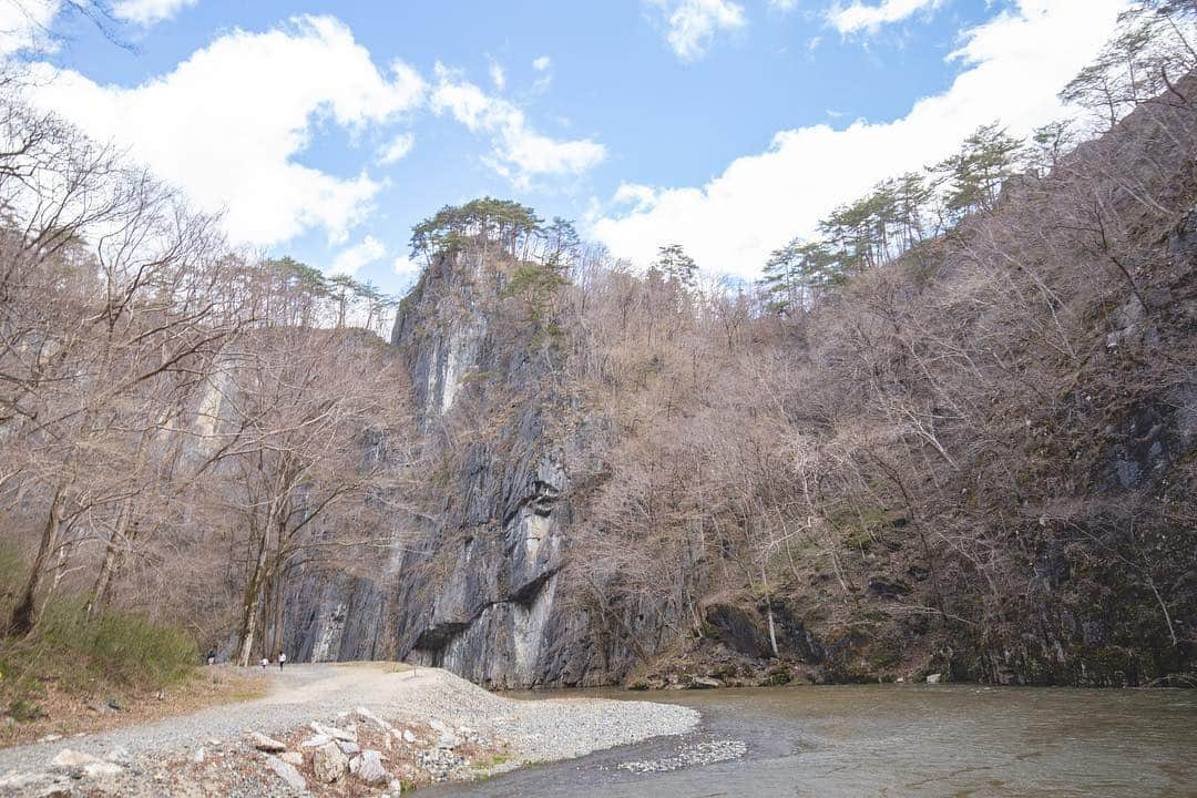 東北女子さんのインスタグラム写真 - (東北女子Instagram)「初春的猊鼻溪 . 雖然說是初春，但猊鼻溪的一本櫻還沒開😂 聽船頭唱歌、擲運石、欣賞岩壁 每個季節都可以享受到的三大樂趣❤️ . 關於鯉魚旗🔍 5月5日是日本的男孩節，有兒子的家庭會在4月中左右在門口掛上鯉魚旗，祈求小孩的成長。 .  #猊鼻渓 📍交通：從JR猊鼻溪站徒步5分鐘 📍價格：1600円 📍不須預約 🔗鯉魚旗會掛到5月6日 . #日本東北 #東北女子travel #岩手 #一関 #日本划船 #日本風景 #東北之旅 #船下り #舟下り #日本自助 #東北旅遊 #日本自由行 #岩手旅行 #行くぜ東北 #春 #iwate #tohoku」4月23日 21時52分 - tohoku_girl_official