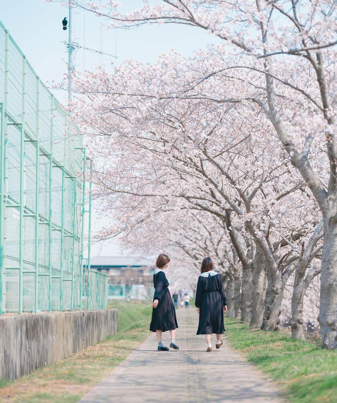 Kobe Japan Water artのインスタグラム：「"Matching outfits" . その服すごく可愛いね〜、素敵。最&高。. #人を褒めることは自分が褒められることに繋がる. #実は同じ服. #ふたりのおあそび.」