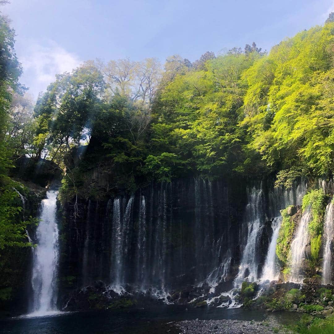 青木瀬令奈さんのインスタグラム写真 - (青木瀬令奈Instagram)「私のパワースポット⭐️ #白糸の滝  #静岡  富士山の雪解け水が崖一帯から毎秒1.5t流れ落ちる滝⭐️ ここのマイナスイオンを全身に浴びると悪いことを吸い取ってくれて、自信とやる気が漲ってきます😆💪 ここに立ち寄ってから去年も良くなったし、パワースポットやトレーニングとしてここを訪れるアスリートが多いらしい😆🌸 #白糸ガーデン  帰りは白糸ガーデンさんに立ち寄って、「注ぐと富士が立つ！」と縁起が良くて評判の「大吟醸 さかさ富士」をお土産に頂いて帰るのが定番化🥰 ソフトクリームも濃厚で美味しいからぜひ食べてみてね🥰 #さかさ富士  #いつもありがとう🙏  夜はもう一つのパワースポット⭐️ #山かつ亭  今年も行ってきました🌸 川奈に来たら絶対に寄るカツ屋さん！勝つ！為にはここのカツを食べなくては！😆💪⛳️ 今日は大将が「ホールインワンのお祝い🎉」と金目鯛の煮付けを作ってくれました🥰粋な計らいありがとうございます☺️🙏私はヒレカツとカニクリームコロッケ定食を食べましたが、サクサクで全然重たくないのでペロっと食べれちゃう美味しさです🤩👍 #loveandthankyou  #内山久美  #福山恵梨  地方に行ってもこうして暖かく迎えてくれる場所があるのって幸せなことですね☺️❤️ #人と人の繋がりに感謝  #一年に一度顔を出しに行く場所が増えることの幸せ  #また来年も良い報告ができますように  #私の成績を楽しみにしてくれてる全ての方へ感謝を込めて  #感謝」4月23日 22時00分 - serenaaoki_official