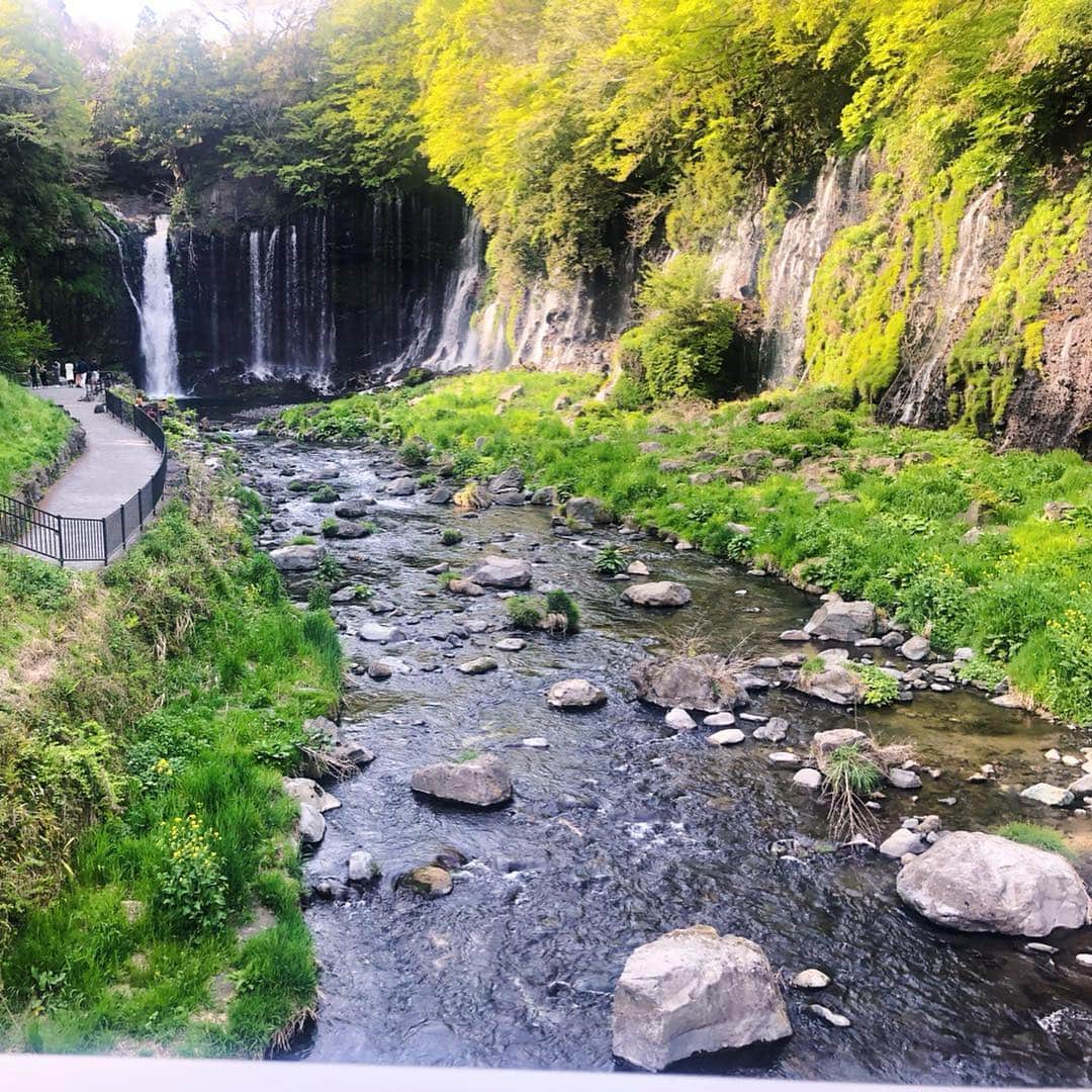 青木瀬令奈さんのインスタグラム写真 - (青木瀬令奈Instagram)「私のパワースポット⭐️ #白糸の滝  #静岡  富士山の雪解け水が崖一帯から毎秒1.5t流れ落ちる滝⭐️ ここのマイナスイオンを全身に浴びると悪いことを吸い取ってくれて、自信とやる気が漲ってきます😆💪 ここに立ち寄ってから去年も良くなったし、パワースポットやトレーニングとしてここを訪れるアスリートが多いらしい😆🌸 #白糸ガーデン  帰りは白糸ガーデンさんに立ち寄って、「注ぐと富士が立つ！」と縁起が良くて評判の「大吟醸 さかさ富士」をお土産に頂いて帰るのが定番化🥰 ソフトクリームも濃厚で美味しいからぜひ食べてみてね🥰 #さかさ富士  #いつもありがとう🙏  夜はもう一つのパワースポット⭐️ #山かつ亭  今年も行ってきました🌸 川奈に来たら絶対に寄るカツ屋さん！勝つ！為にはここのカツを食べなくては！😆💪⛳️ 今日は大将が「ホールインワンのお祝い🎉」と金目鯛の煮付けを作ってくれました🥰粋な計らいありがとうございます☺️🙏私はヒレカツとカニクリームコロッケ定食を食べましたが、サクサクで全然重たくないのでペロっと食べれちゃう美味しさです🤩👍 #loveandthankyou  #内山久美  #福山恵梨  地方に行ってもこうして暖かく迎えてくれる場所があるのって幸せなことですね☺️❤️ #人と人の繋がりに感謝  #一年に一度顔を出しに行く場所が増えることの幸せ  #また来年も良い報告ができますように  #私の成績を楽しみにしてくれてる全ての方へ感謝を込めて  #感謝」4月23日 22時00分 - serenaaoki_official