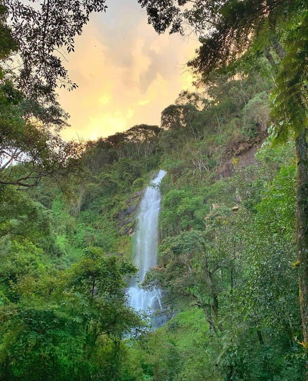 Isis Valverdeさんのインスタグラム写真 - (Isis ValverdeInstagram)「Bom dia! My place🙌🏻 #earthday #aindadátempodecelebrar #homesweethome」4月23日 22時22分 - isisvalverde