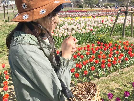 ree_mstorynさんのインスタグラム写真 - (ree_mstorynInstagram)「#flowerparkjapan  今が盛りとばかりに 咲き誇る花は しおれた私に 元気をくれる ・ 明日もがんばろ ・ #flower #spring #park #flowerpark #tulip #colorful #garden #beautiful #beautifulflower #公園 #チューリップ畑 #花好きな人と繋がりたい #花写真 #vsco #vscam」4月23日 22時31分 - ree_mstoryn