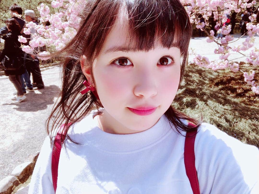 平野ひかるさんのインスタグラム写真 - (平野ひかるInstagram)「兼六園の桜。 これはなんの桜だろ？？ #桜 #満開 #cherryblossom  #flower」4月23日 22時28分 - hikarun80129