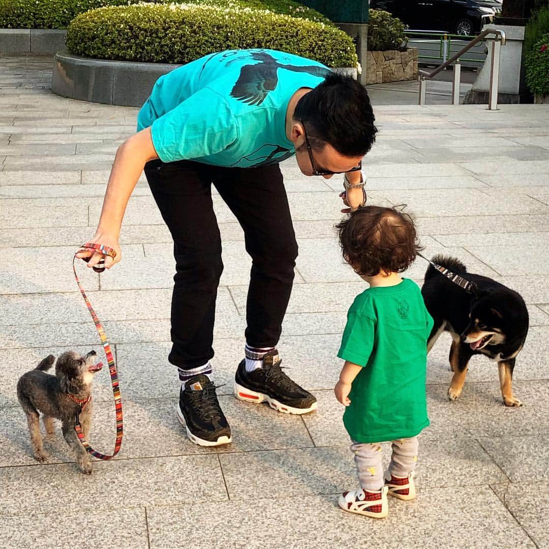 中村獅童さんのインスタグラム写真 - (中村獅童Instagram)「お散歩。 #プーちゃん #エル #陽喜 #獅童」4月23日 22時33分 - shido_nakamura