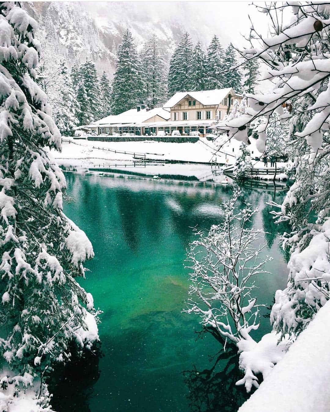 Wonderful Placesさんのインスタグラム写真 - (Wonderful PlacesInstagram)「Blausee - Switzerland ✨💚💚💚✨ . Picture by ✨✨@sennarelax✨✨ #wonderful_places for a feature 💚」4月24日 4時05分 - wonderful_places