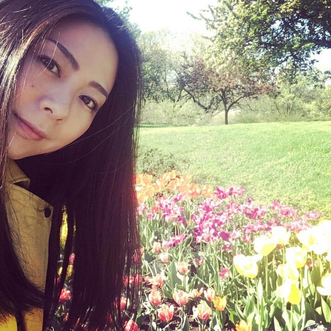 Ka-Naさんのインスタグラム写真 - (Ka-NaInstagram)「I’m at Brooklyn Botanic Garden again! There is a press preview for the Sakura Matsuri this morning :) It’s a really beautiful day today! I’m so excited about it!  今日は、来週の桜祭りのプレスプレビューのために、ボタニックガーデンに来ています♪ 先週よりお花がたくさん咲いていて、とってもキレイー！ 慣れない自撮りをしてみたけど（笑）、下手すぎるー(￣∀￣;) でも、お花は美しいですー♪  #brooklynvotanicgarden#sakuramatsuri2019#nyc#prespreview#自撮り#下手っぴ#お花きれい#ついに春」4月23日 22時42分 - kanajpop