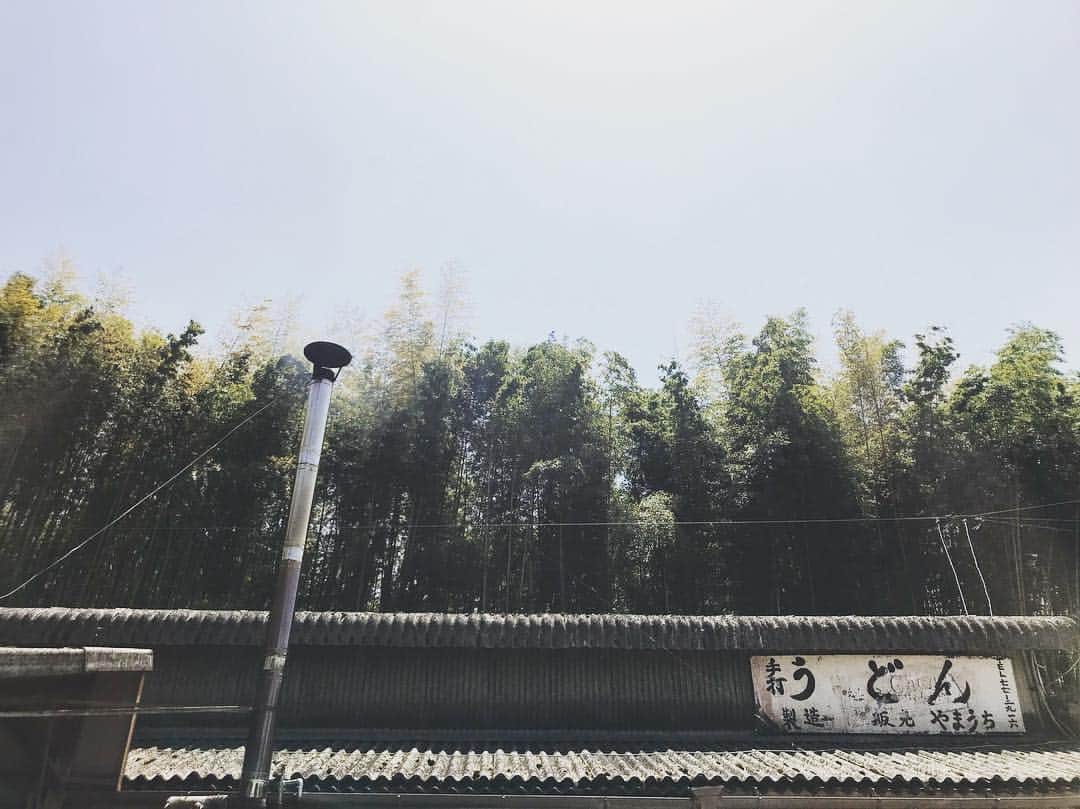 藤田貴大さんのインスタグラム写真 - (藤田貴大Instagram)「. . ‪今朝まで、香川県の善通寺にいました。二月にツアーで訪れてから間もないとおもっていたけれど、どこも黄緑色で溢れていて、もちろんのことのように日差しのかんじもまるでちがった。‬ . . ‪まだ途方もなく先のことにおもえてしまうが、夏の終わりにこの町に通う大学生とひとつ作品をつくって、発表します。‬ . . . .」4月23日 23時14分 - fujita_takahiro