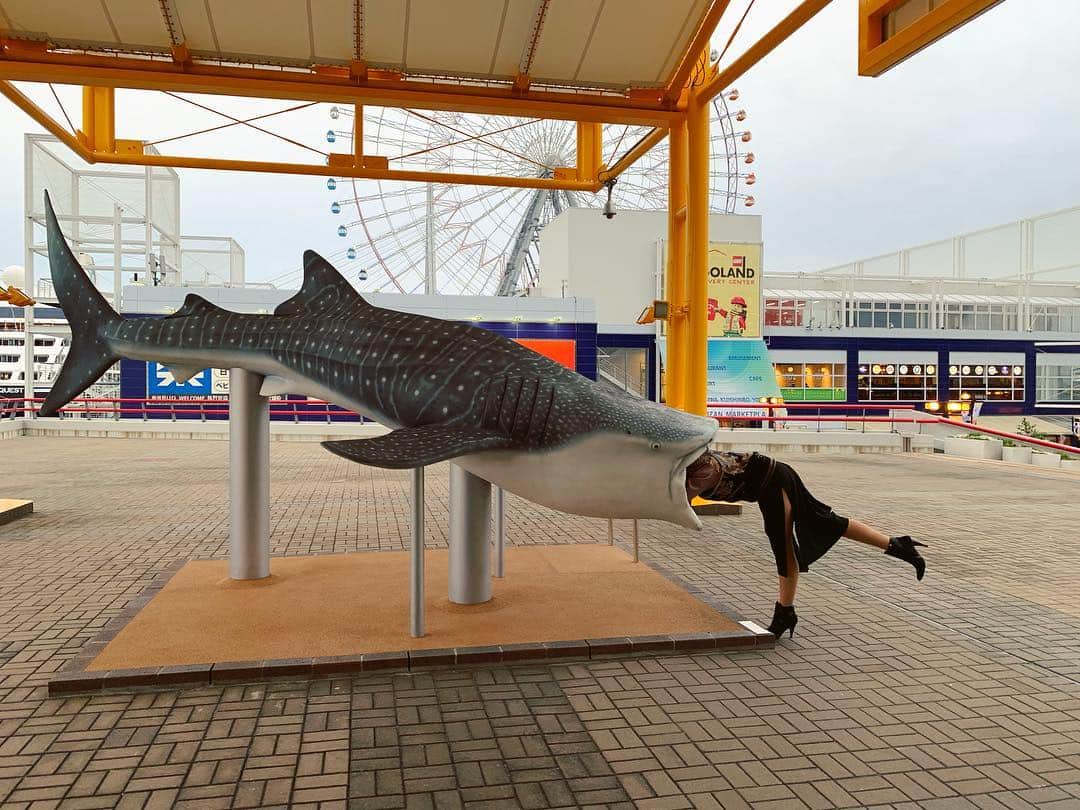 ALINA AKULAのインスタグラム：「😱😱😱#sharkattack . . #акула #shark #horrormovies #океанариум #happytraveler  #愛 #ファッション  #kawaii #写真 #芸術 #きれい #旅 #幸せ #自然」
