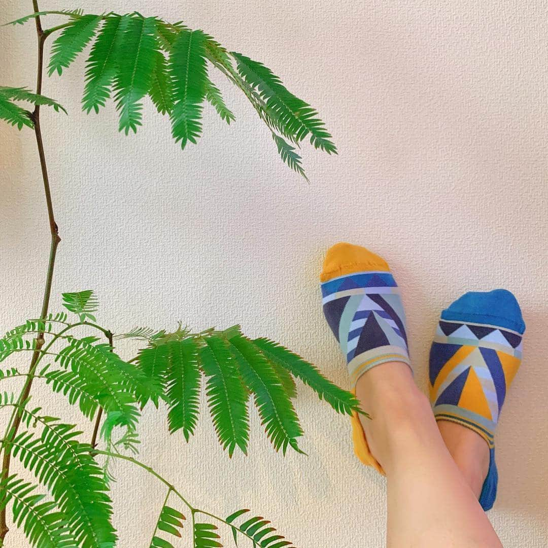 小松彩夏さんのインスタグラム写真 - (小松彩夏Instagram)「﻿ ﻿ ﻿ デンマーク発@flb_fashion のアシンメトリーソックス「SOLO SOCKS」 ﻿﻿ ﻿﻿ シングルソックスが7足セットになってて﻿﻿ どの組み合わせでも履けるようになっているんです！！﻿﻿ ﻿﻿ あれ？靴下の片方どこ行った？？﻿﻿ そんなときでも大丈夫♪﻿﻿ ﻿﻿ どの組み合わせでもオッケー！！﻿﻿ これはずぼらな私は助かります♡笑笑﻿﻿ ﻿﻿ 一つ一つが違うデザインだから組み合わせを考えるのも楽しいです♪﻿﻿ ﻿﻿ ﻿﻿ @flb_fashion をフォローしてDMにクーポン と送ると20%off の限定クーポンがもらえるキャンペーンをやっているみたいなのでチェックしてみてね☆﻿﻿ ﻿﻿ 大好きなスニーカーの下に、可愛い靴下を履いたらお出掛けするのがいつも以上に楽しくなりそう♪﻿﻿ ﻿﻿ 詳しくはこちらから↓﻿﻿ http://www.solosocks-jp.com/﻿﻿ ﻿﻿ #solosocks #ソロソックス #プレゼント #ギフト#靴下 #誕生日プレゼント #記念日プレゼント #普通じゃ物足りない方へ #足元倶楽部 #今日の足元 #アシンメトリー #ファッション ﻿」4月23日 23時40分 - official_ayaka_502