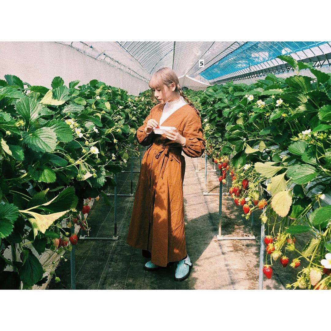 松尾レミさんのインスタグラム写真 - (松尾レミInstagram)「母とストロベリーフィールズへ🍓 (昨年も一緒に行った)MARTEの新しいお洋服をおろしました、本当に春によく似合う😭🔥中に来たスタンドカラーシャツも。そしてミルクブルーなマーチン買いました。」4月23日 23時47分 - remimatsuo